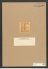 Amphora amphioxys Bail. (de-Toni-Nr.: Genus 36, Species 1570) Zeichnungen Sammlung Grunow Nr. 3016 (NHMW-BOT-W0370397)